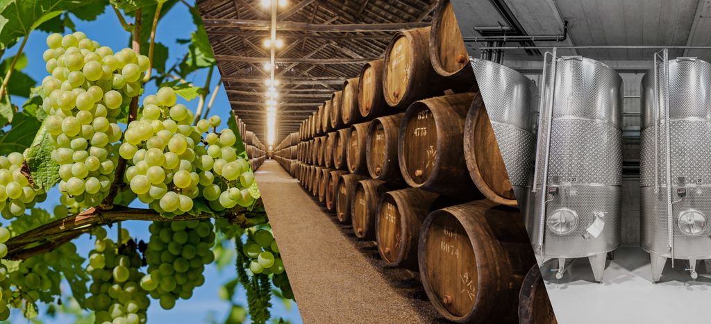 WeinTom.de Bild Weintrauben Weinkeller