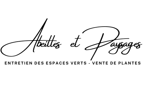 store_logo