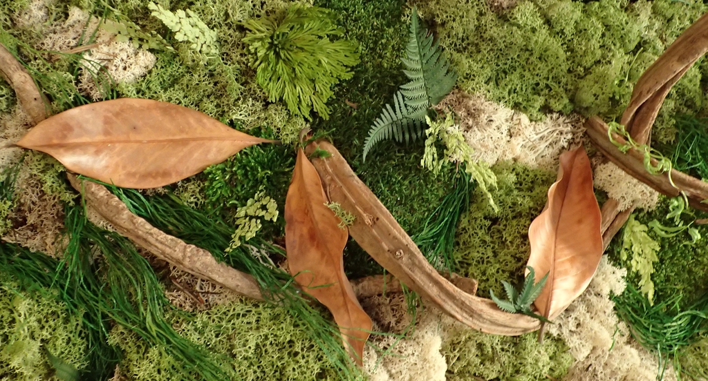 banner_image