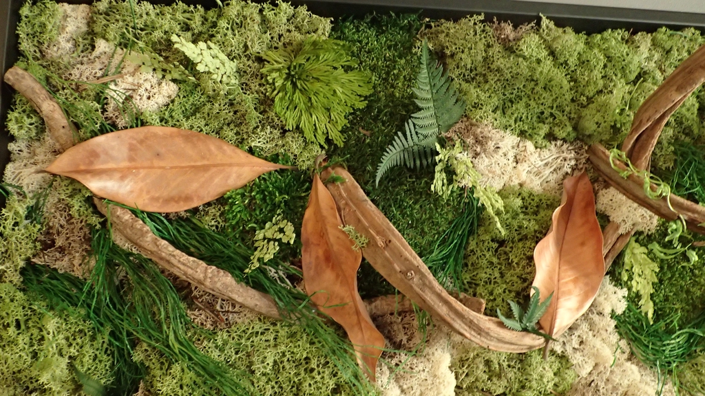 banner_image