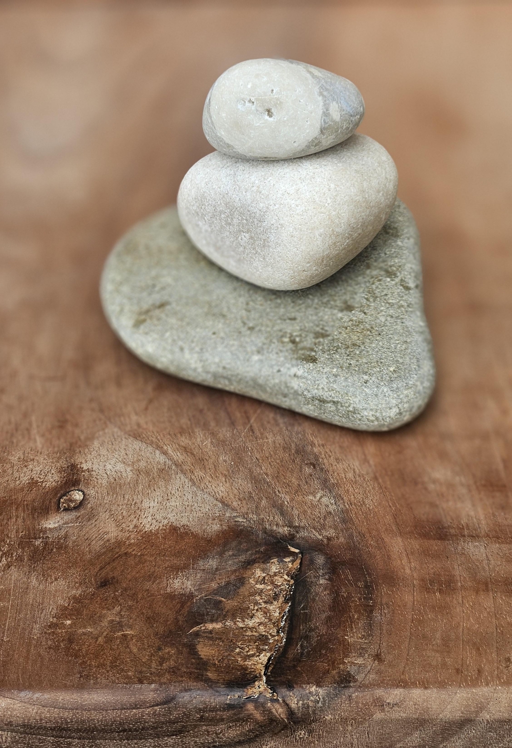 planche a découpé fait main en bloc de bois unique avec slogan avec la pierre et le bois embellissons ce monde