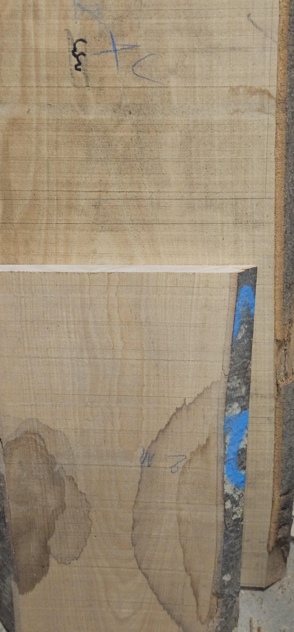 images de planches issues de la scierie pourquoi ces essences hêtre ou ne pas hêtre? 