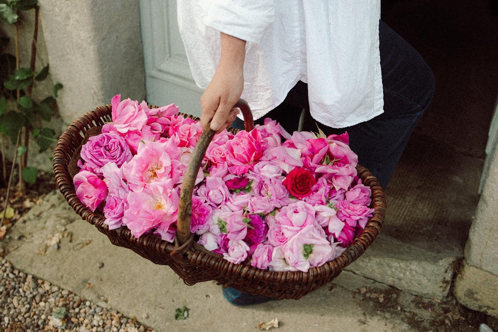 Les Roses de Juliette
