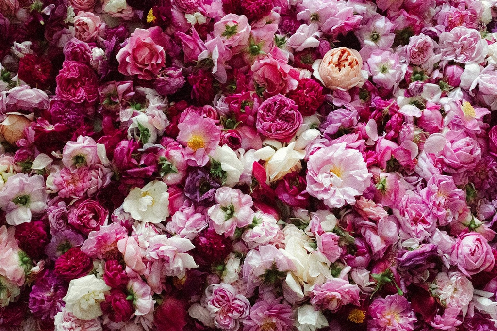 banner_image