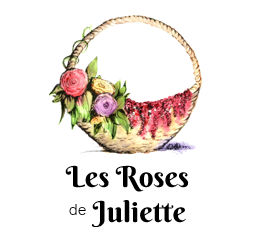 store_logo