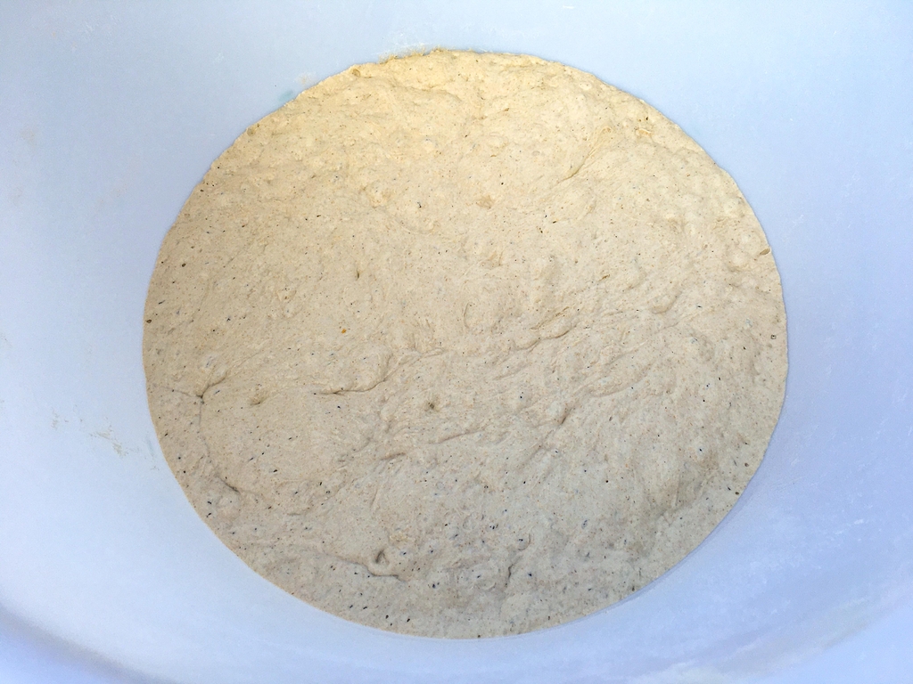 Levain
