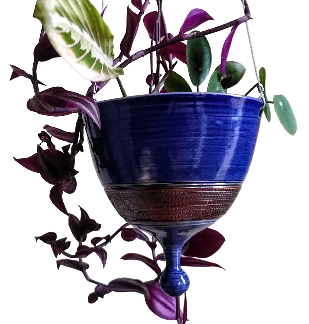 Weekly Workshops and Experience Days