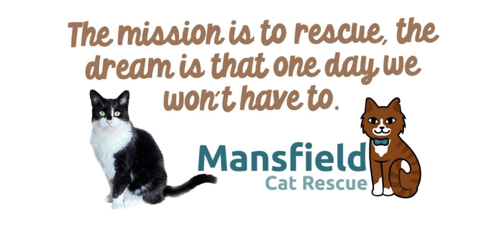 Mansfield Cat Rescue