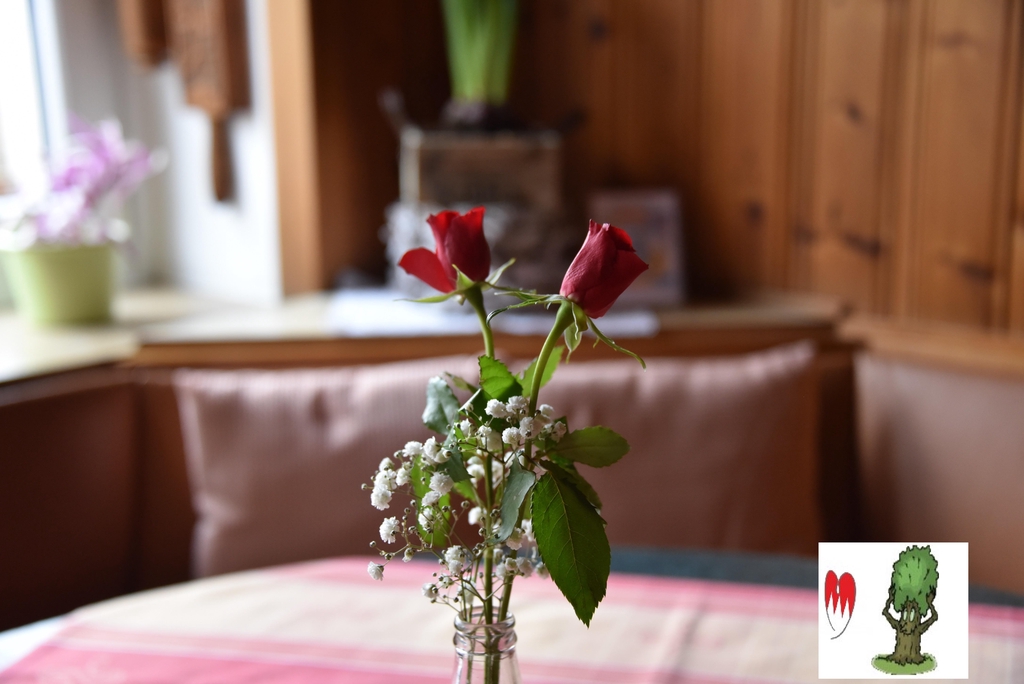 Unser Service für Sie:
Kühle Getränke zur Selbstbedienung