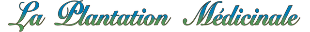 store_logo