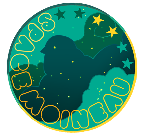 une silhouette d'oiseau dans des nuages stellaires dans des tons sarcelle. Le texte " Space Moineau " s'inscrit dans le cercle, dans une police d'écriture ronde.