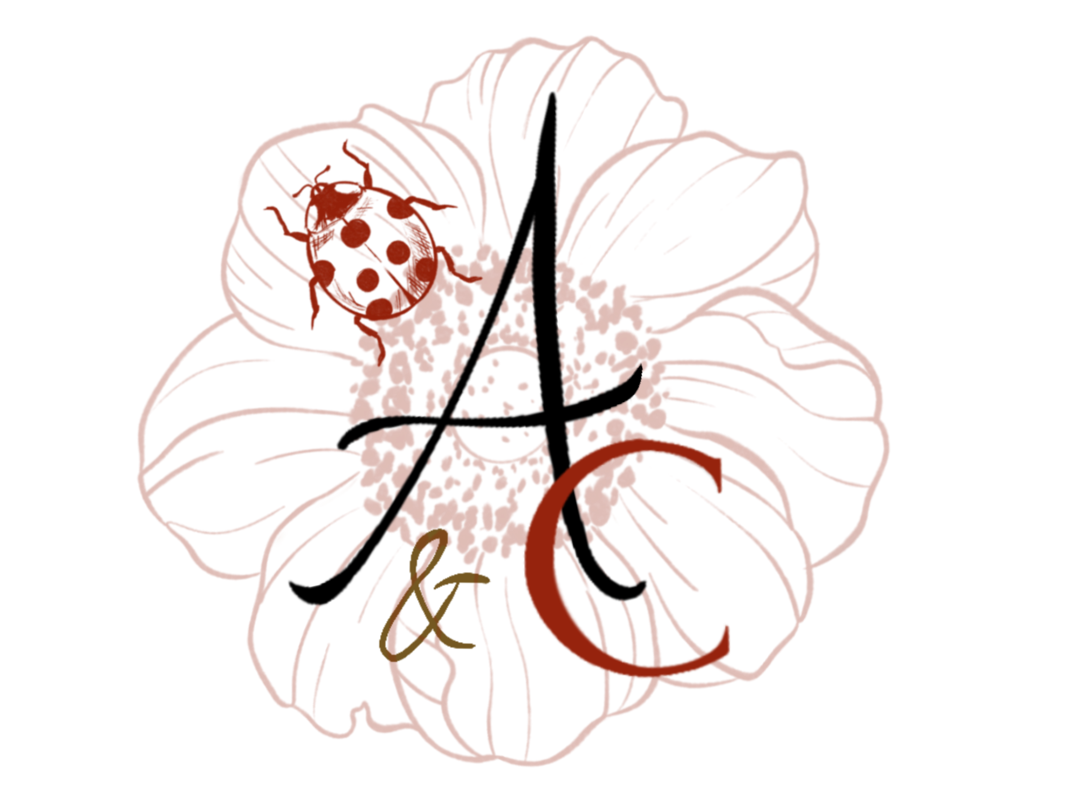 “Bouquets et compositions florales à Tarbes et dans les Hautes-Pyrénées : des fleurs fraîches et locales, idéales pour toutes vos occasions (mariages, anniversaires, baptêmes, hommages) ou simplement pour offrir du bonheur.” Fleurs séchées artisanales dans le 65 : des créations durables, 100 % naturelles, idéales pour décorer votre maison ou offrir un cadeau original et poétique.”
Livraison de bouquets et compositions florales à domicile autour de Tarbes et Pouyastruc (rayon de 20 km). Contactez-moi pour recevoir vos fleurs fraîches ou séchées directement chez vous.”