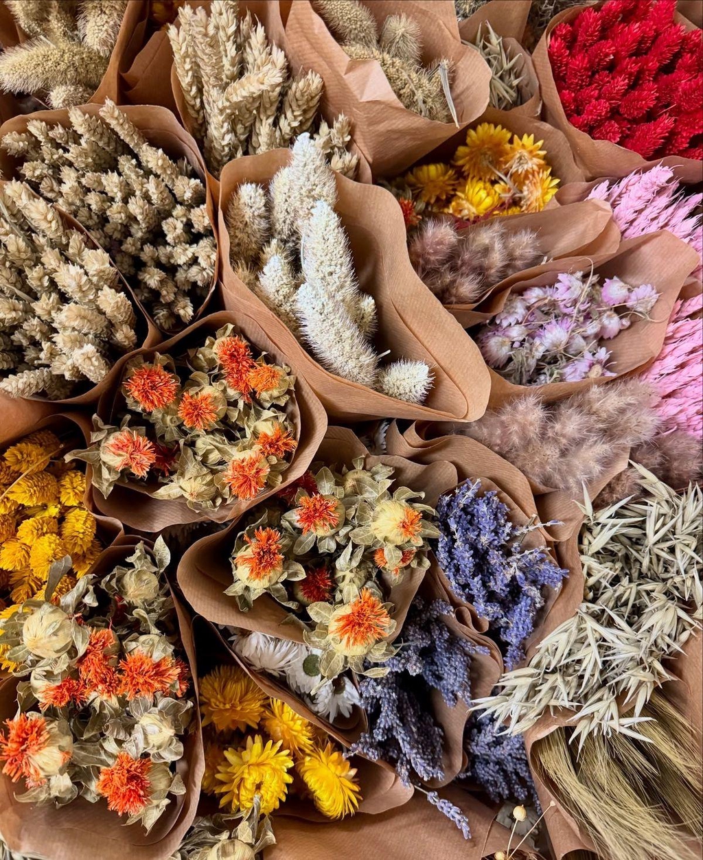 “ – Artisan fleuriste ambulant dans les Hautes-Pyrénées (65). Retrouvez-moi sur les marchés et villages autour de Pouyastruc avec mes créations florales uniques.”