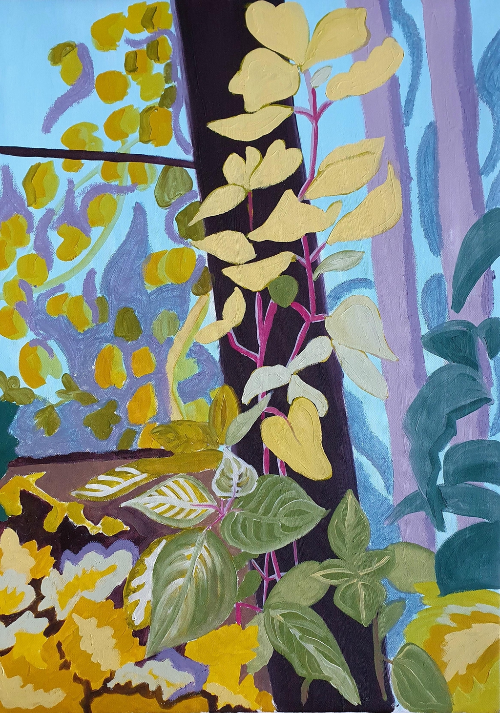 product_list_image_cover