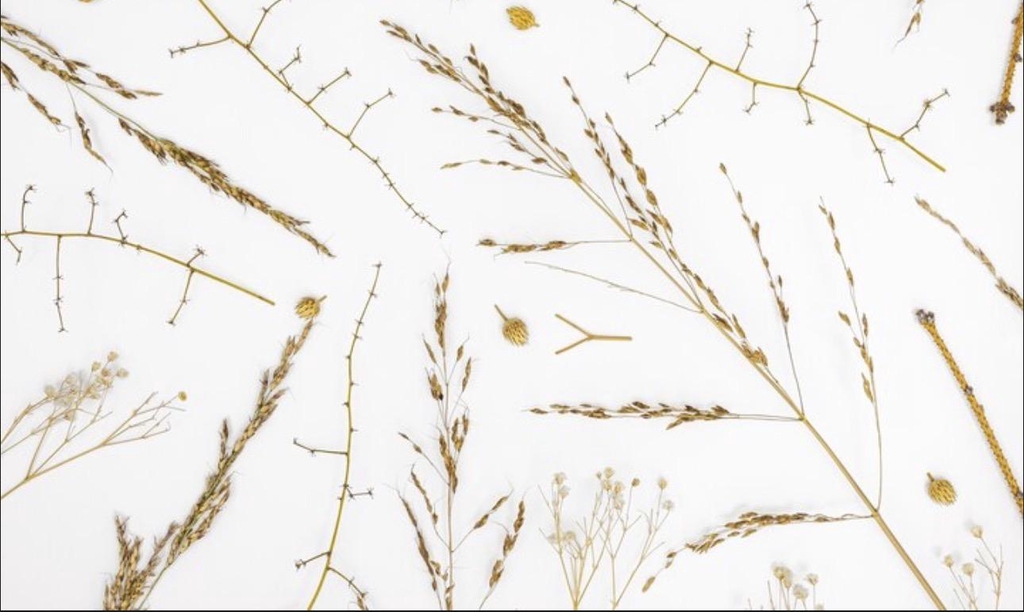 product_list_image_cover