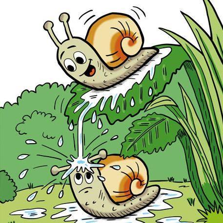 Les Gastéropotes - Michel BURDIN - Boutique en ligne