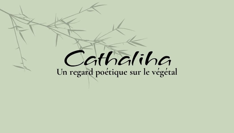 Cathaliha un regard poétique sur le végétal - illustration dessin botanique photographies