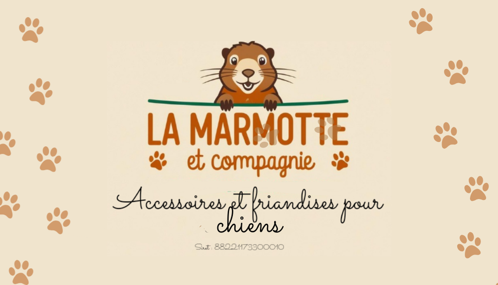 La Marmotte Coquette