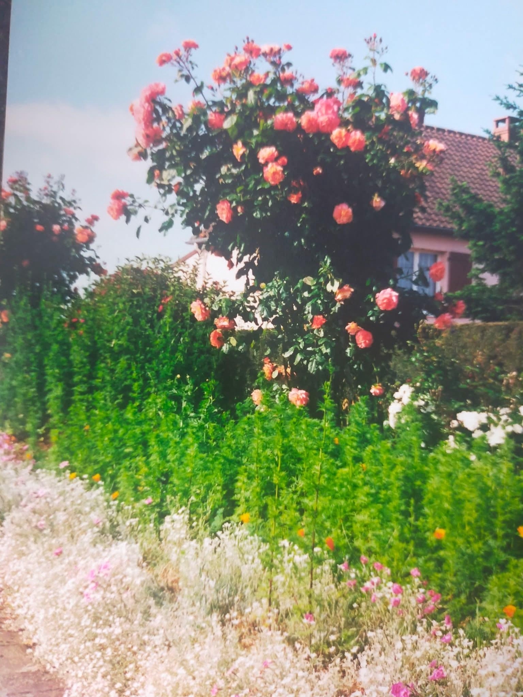 Collection bougies Nostalgie du Potager Trataka Candles