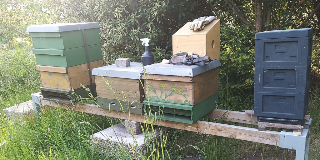 Entdecken Sie unsere Produkte!