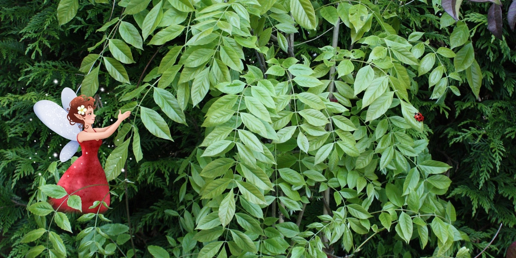 banner_image