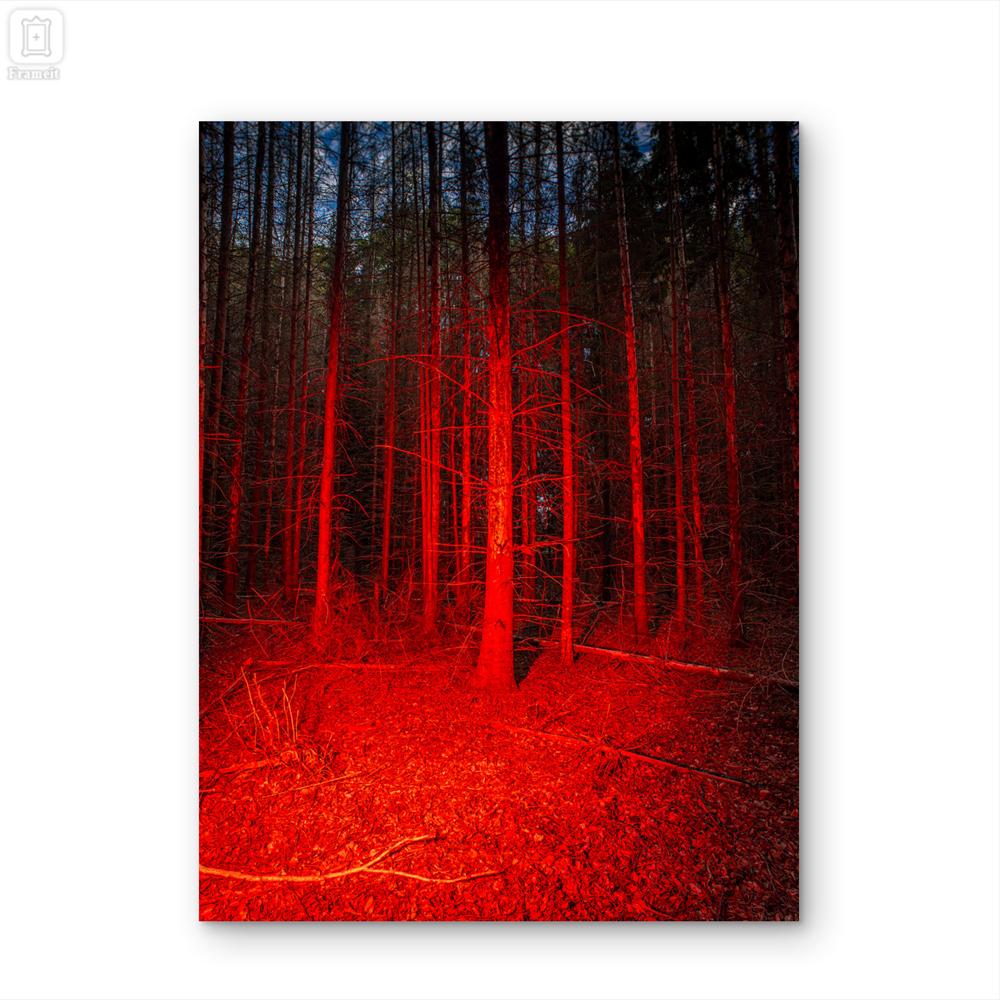 The signal in the wood