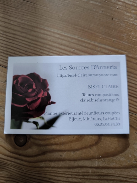Fleuriste depuis 1995
Vente de plantes extérieur, jardin,cactus et succulentes 
Vente de fleurs coupées (toutes compositions) 
