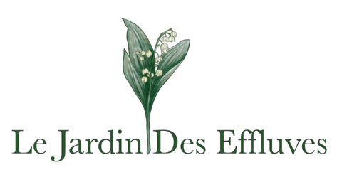 store_logo
