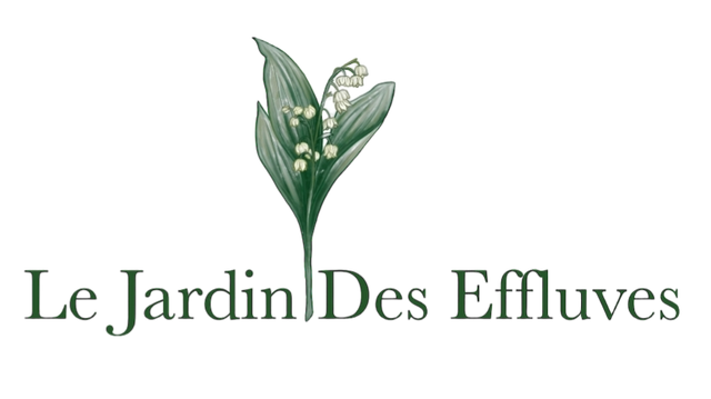 store_logo
