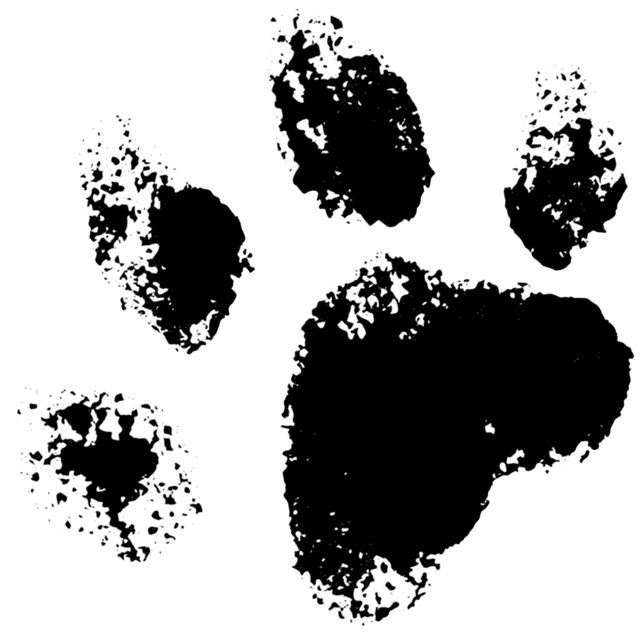 Logo patte de chien