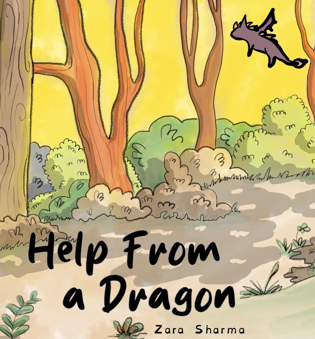 Help From a Dragon is an illustrated children’s book with a rhyming tale about making the most of your day. 
