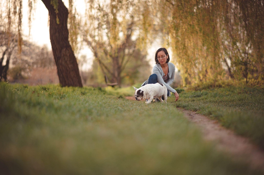 Bienvenue chez
Tiny Woof Corner 
