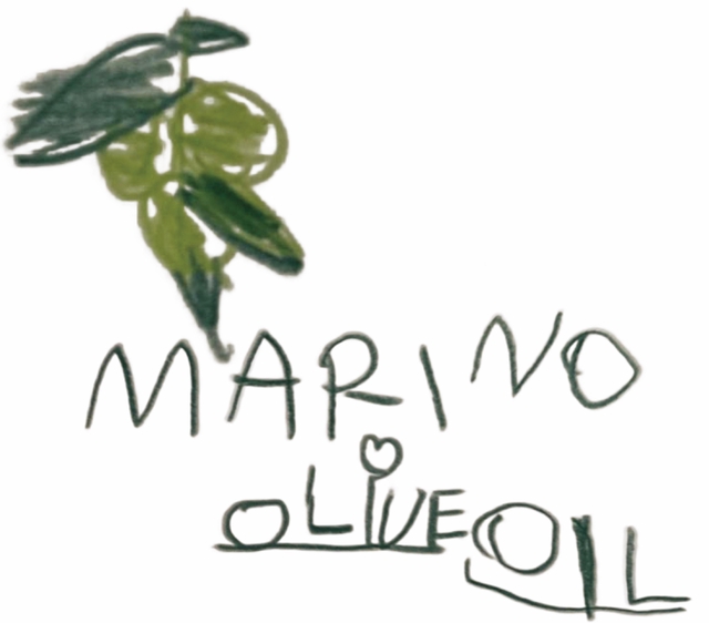 store_logo