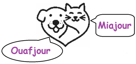 Alimentation - à domicile - à Nîmes et alentours pour chiens et chats.