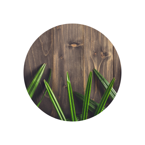 product_list_image_cover