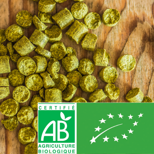 Houblon - Récolte 2025 BIO