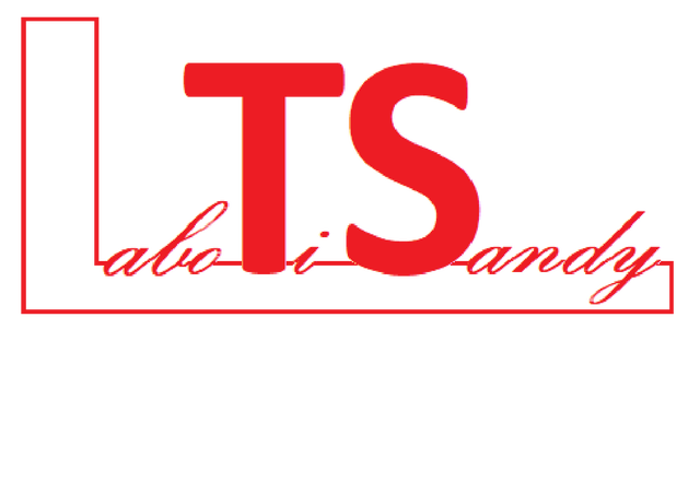 Labo TiSandy
Sacs et accessoires en cuirs