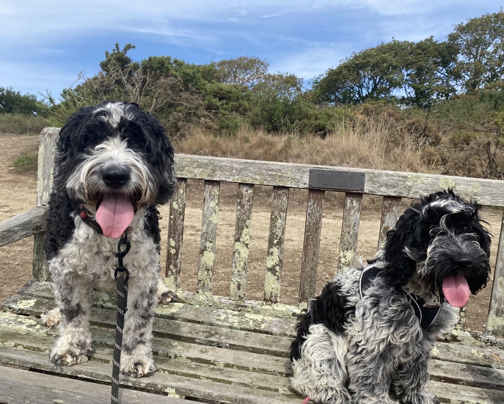 Thanks for popping in!