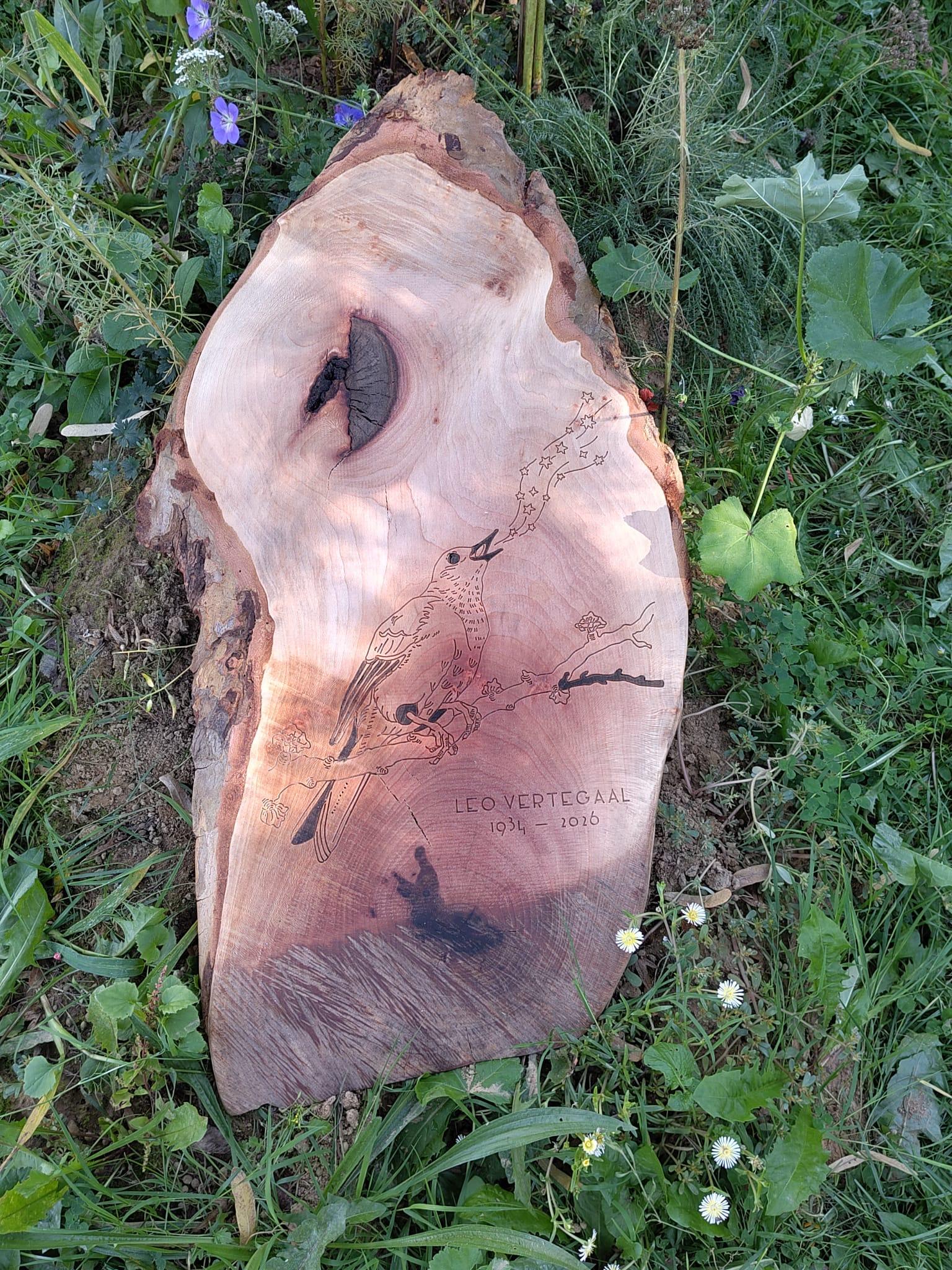 gedenkschijf ookwood
