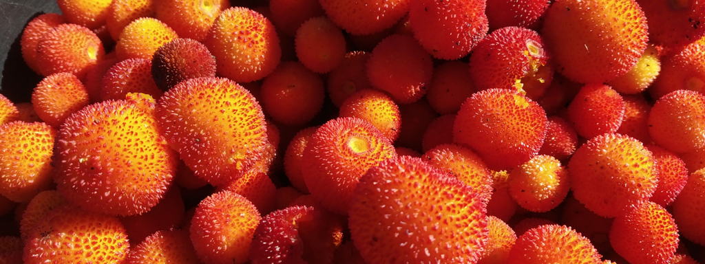 banner_image