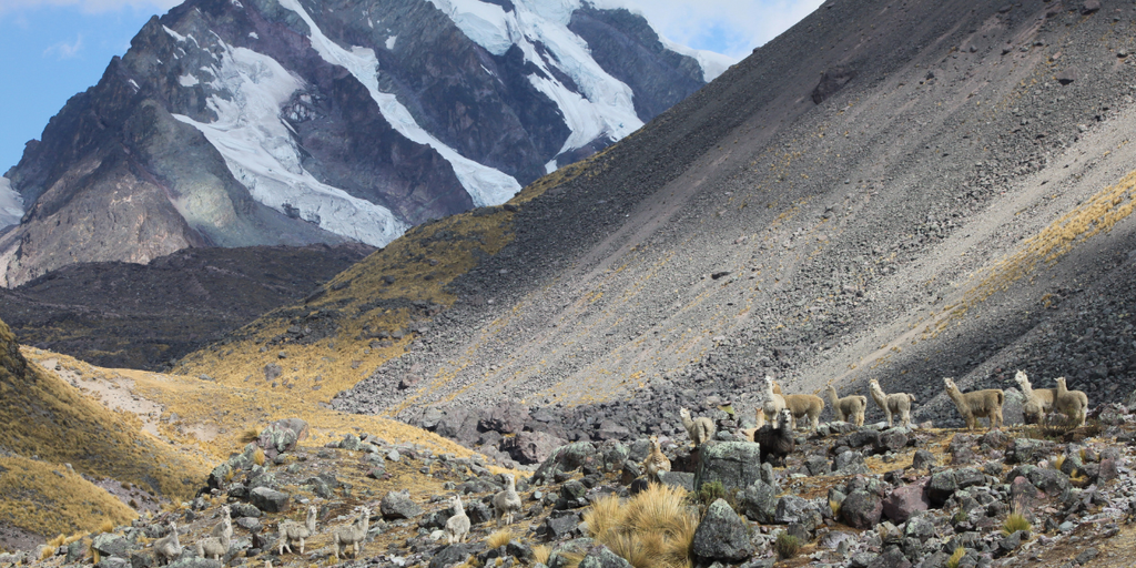Empowering peruvian artisans in the Andes