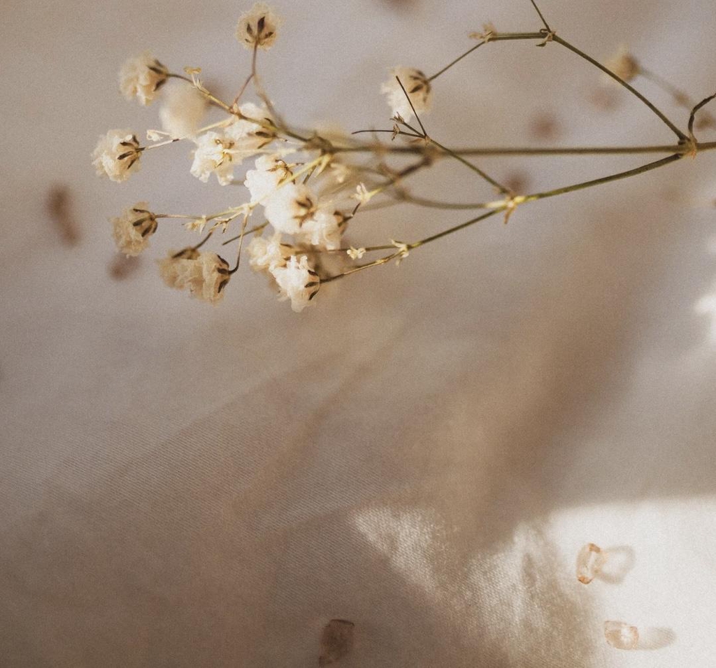 TheBeautyCottage Landladen