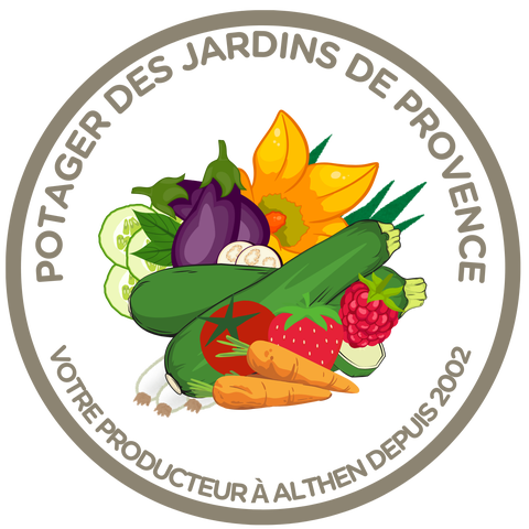 store_logo