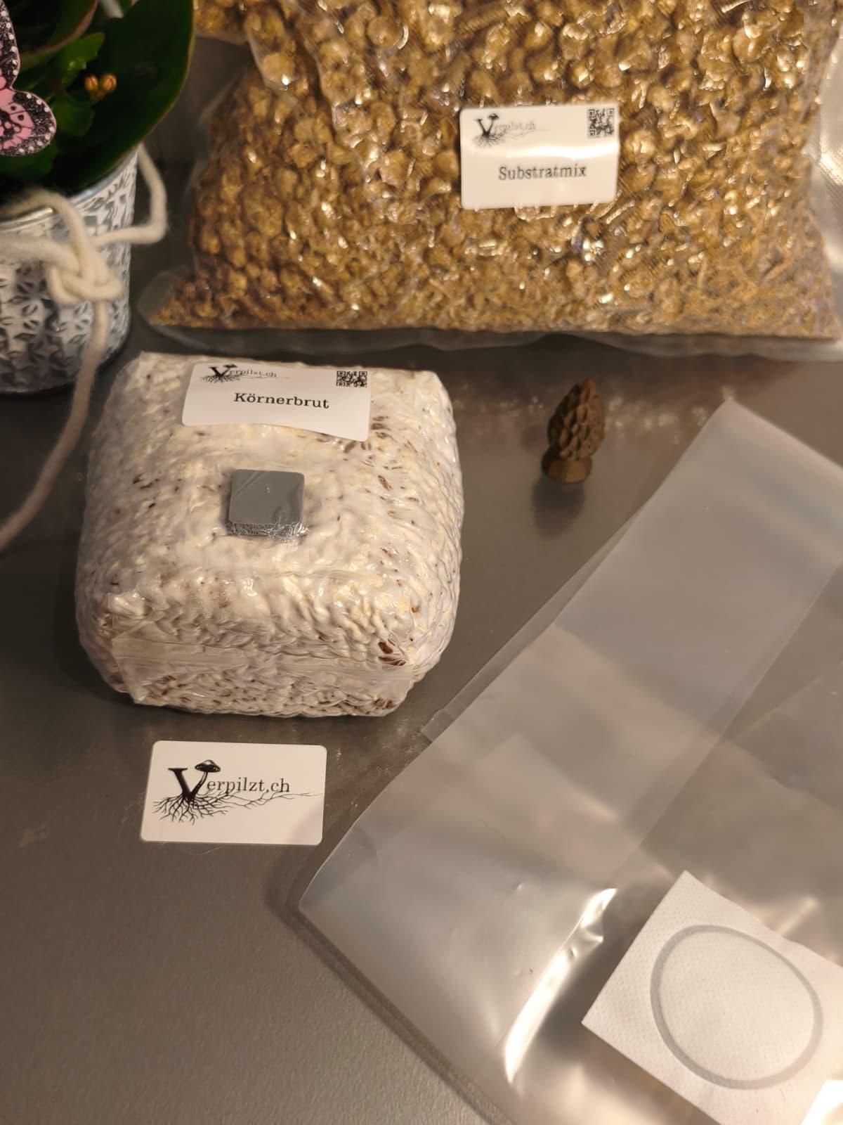 Starterkit