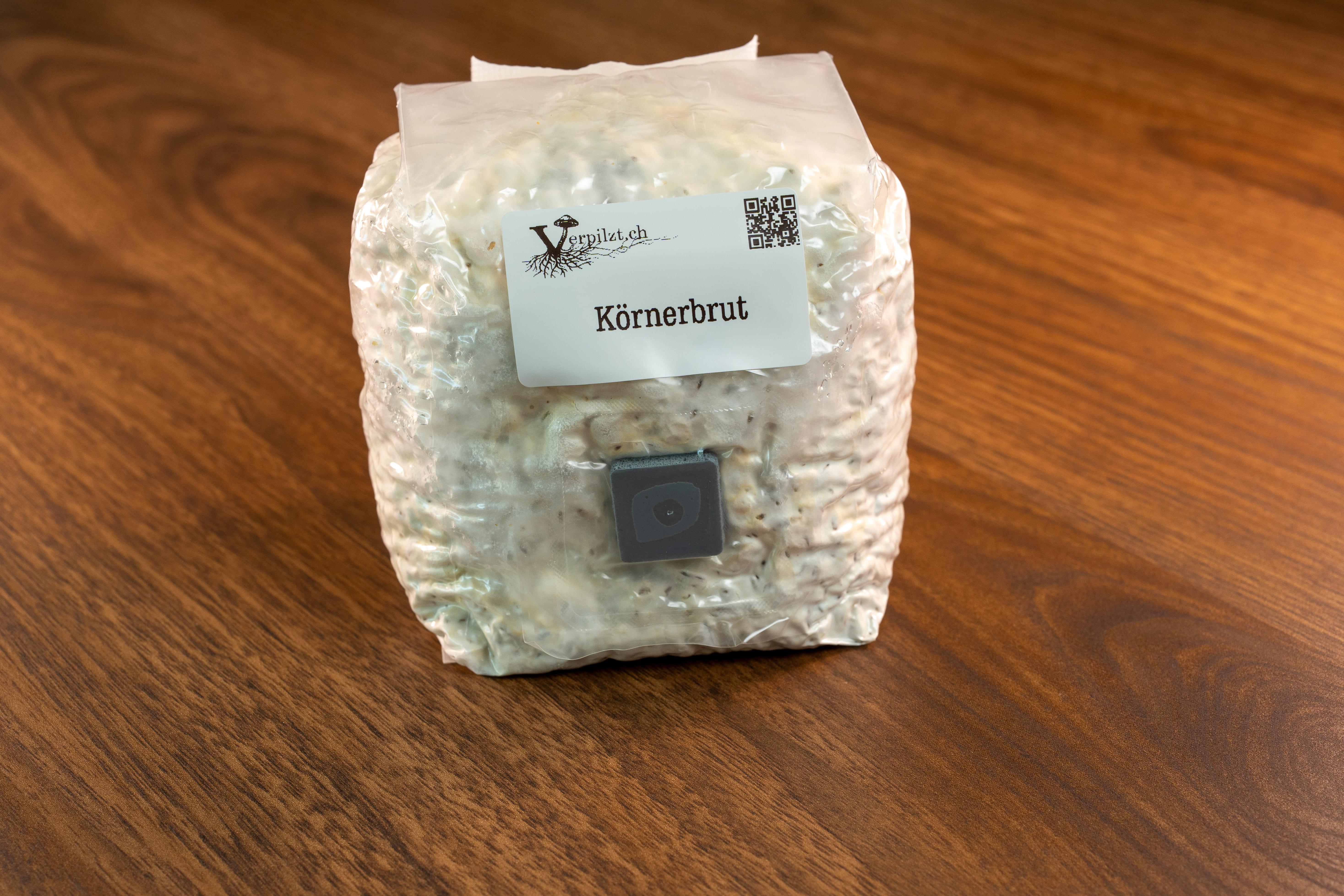 Körnerbrut