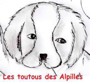 store_logo