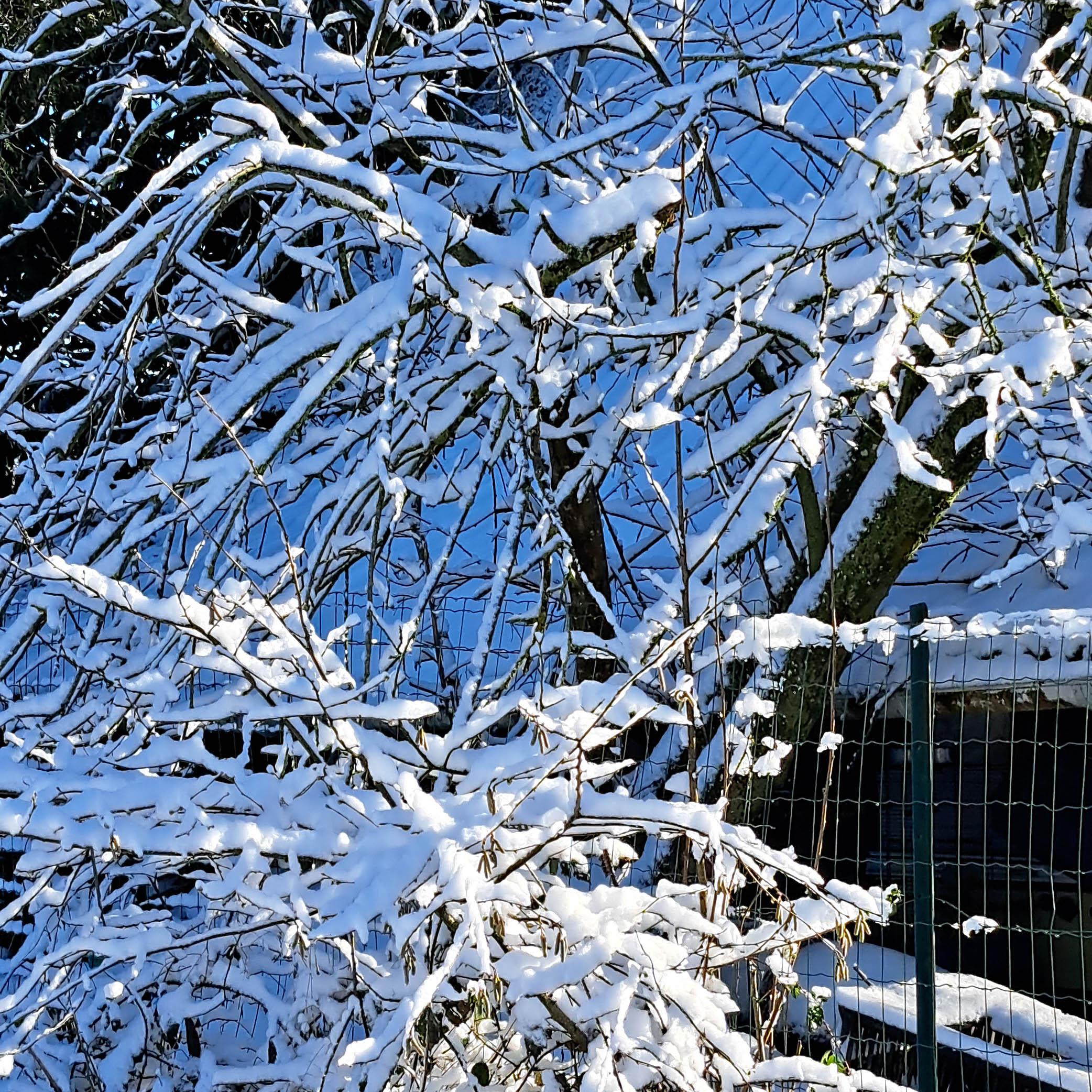 Hiver