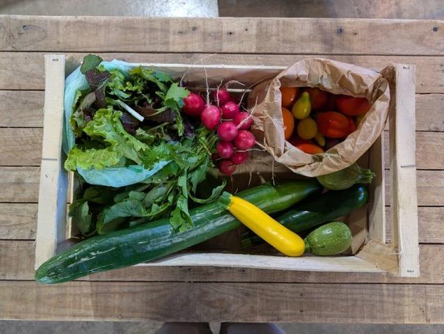 Paniers de légumes bio de la ferme d'Avrainville