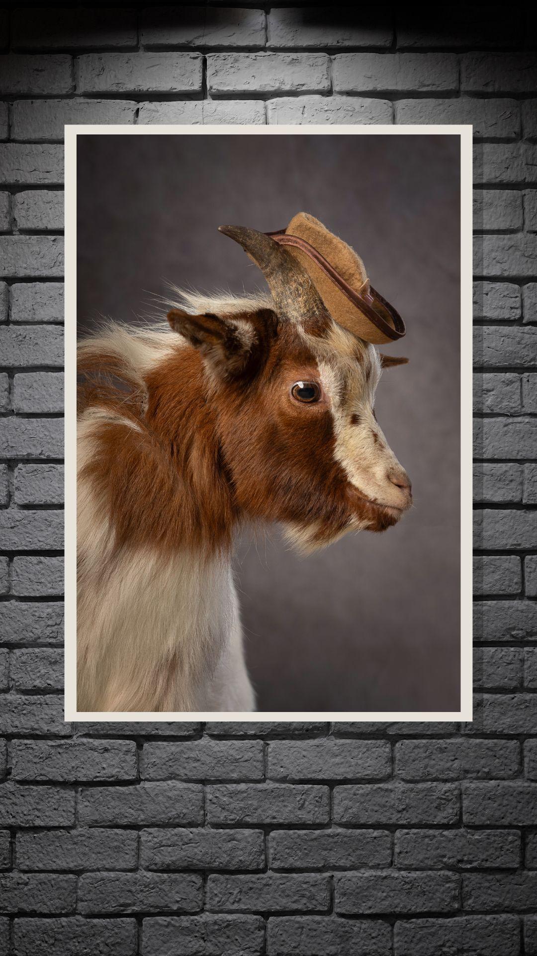GutBehütet im Hochformat
