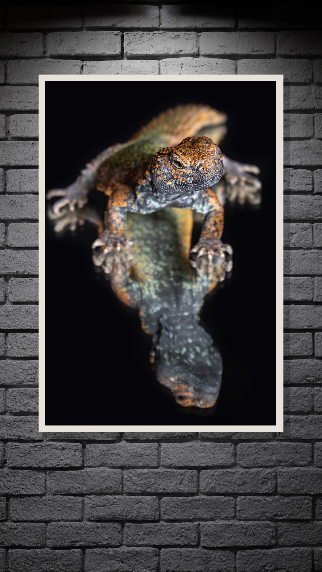 GutGespiegelt im Hochformat